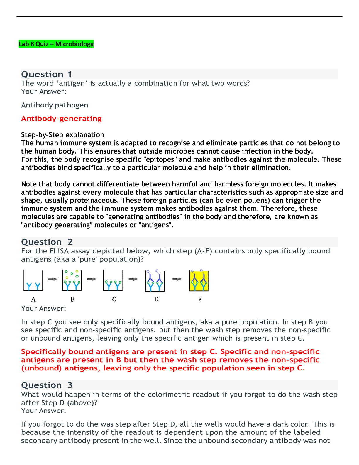 Preview image for Lab 8 Quiz – Microbiology (ASSURED A) <100% CORRECT> GRADED A+ | LATEST SOLUTIONS |